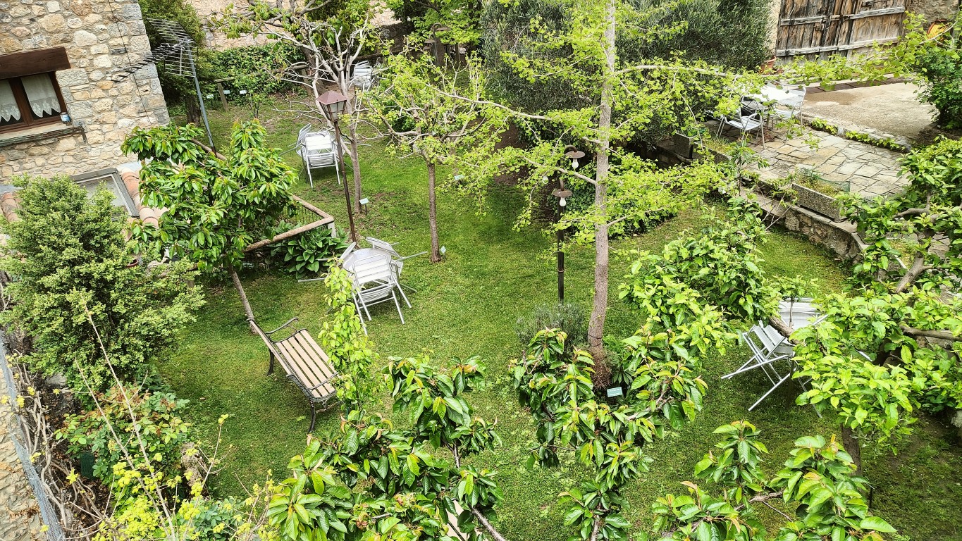 Jardí vist des de dalt, amb molt de verd