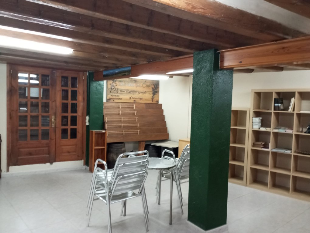 Local annex: espai ampli amb columnes verdes